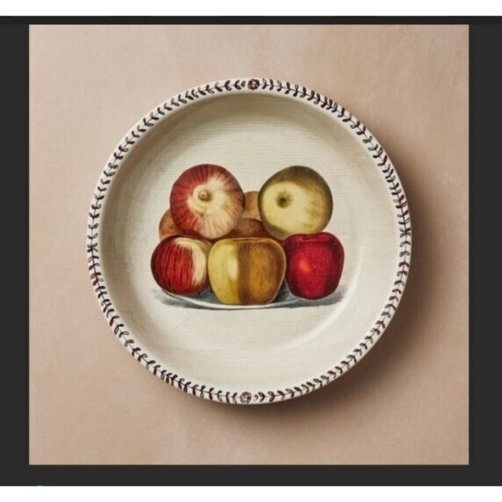 JOHN DERIAN x TARGET Stoneware Pie Plate Dish with Apple Print, 10" / New